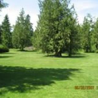 A sunny day in a grassy park with several trees.