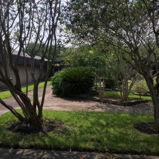 A tranquil garden space with lush greenery and well-maintained shrubs under a sunny sky.