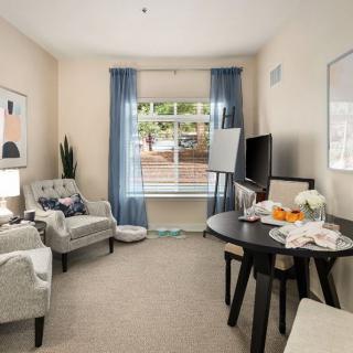 A cozy living room with elegant furniture, natural light, and soothing decor.