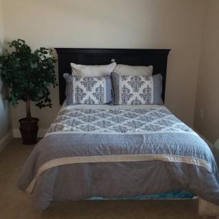 A neatly made bed with patterned bedding and pillows, accompanied by a potted plant in a bedroom.