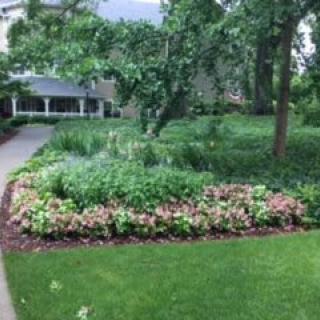 A beautiful garden with a variety of flowers and trees, including a well-maintained lawn and pathway.