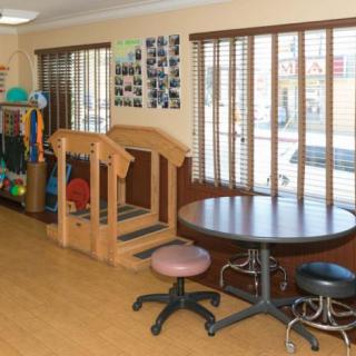 A therapy room equipped with children's play and exercise equipment.
