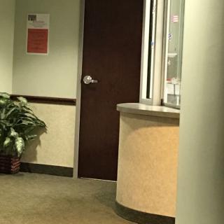 A quiet office waiting area with a reception desk and potted plant.