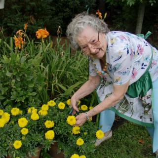 An elderly woman tending to her vibrant garden filled with marigolds.