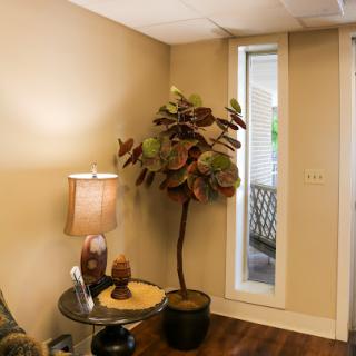 A cozy living room corner featuring a decorative plant, a stylish lamp, and natural light streaming through the window.