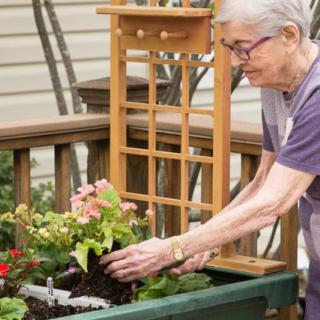 An older person tending to a deck garden with colorful flowers.
