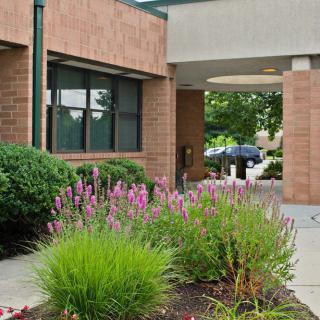 An entrance to a building with brick walls and landscaped garden featuring blooming flowers.