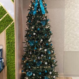 A beautifully decorated Christmas tree adorned with blue ribbon and ornaments.
