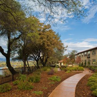A scenic pathway winding through a picturesque landscape with trees and buildings nearby.
