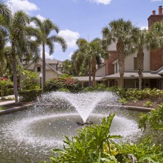 A serene outdoor scene with a fountain surrounded by palm trees and buildings.