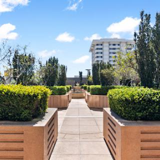 A serene urban garden with neatly trimmed hedges and a clear blue sky.
