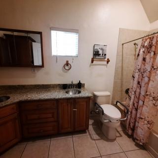 A bathroom featuring a sink with a mirror, toilet, and a shower with a floral curtain.