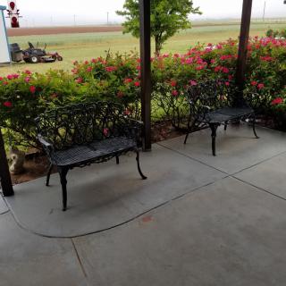 A peaceful patio with two benches overlooking a garden of flowers.