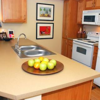 A cozy kitchen featuring a countertop with a bowl of fresh apples, wooden cabinets, and modern appliances.