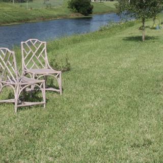 Two chairs placed on a grassy lawn beside a pond.