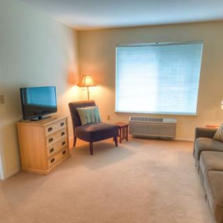 A cozy living room featuring a TV, chair, sofa, and window with natural light.