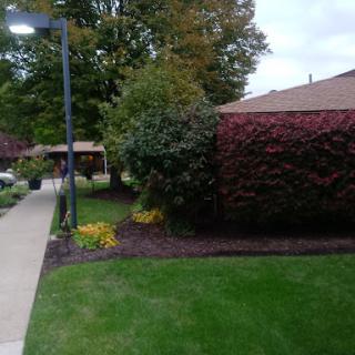 A serene garden scene featuring a well-maintained lawn, colorful flowers, and lush greenery.