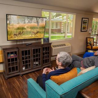 A person relaxing on a teal couch while watching television in a cozy living room.