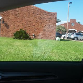 A view of a green lawn and a brick building from inside a car.