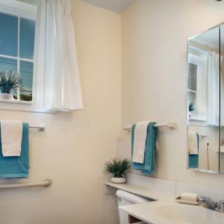 A well-lit bathroom with a mirror, towels, and a small plant on the sink.