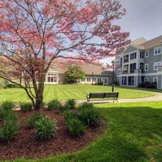A scenic view of a landscaped garden with a blooming tree and a bench, adjacent to a residential building.