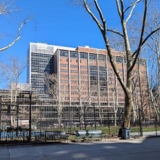 A view of a modern building surrounded by trees and a park under a clear blue sky.