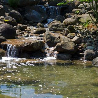 A serene waterfall cascading over rocks into a clear pond.
