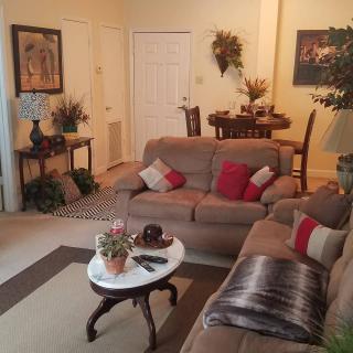 A cozy living room with a sofa, coffee table, and decorative plants.