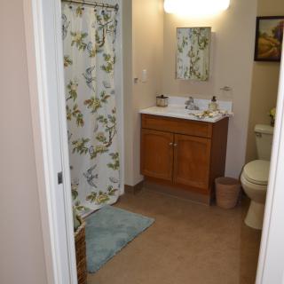 A tidy bathroom with a floral shower curtain and wooden cabinet.