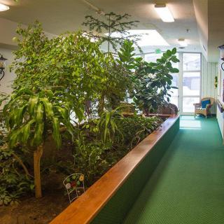A hallway with an indoor garden filled with lush greenery and natural light.