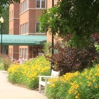 A serene outdoor scene featuring a building surrounded by vibrant yellow flowers and a white bench.