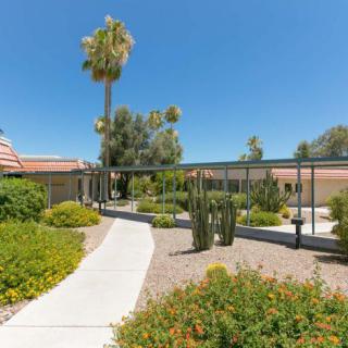 A sunny outdoor walkway with desert landscaping, featuring cacti and a palm tree next to a building.