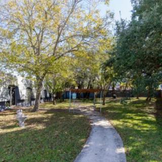 A scenic park pathway shaded by trees and surrounded by green grass.