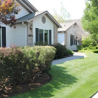 A suburban house with well-maintained landscaping, featuring a lush green lawn and neatly trimmed shrubs.