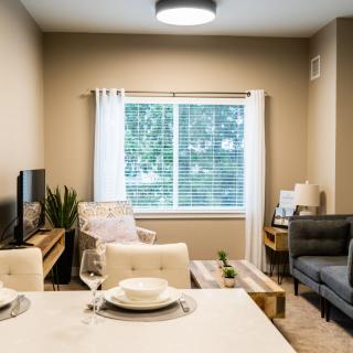 A modern apartment living room with a cozy atmosphere and natural lighting.