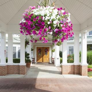 A welcoming building entrance with a large hanging basket of vibrant flowers.