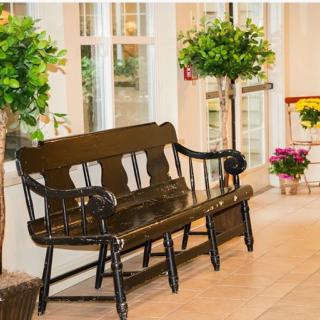 An elegant dark wooden bench sits in a cozy indoor setting, surrounded by potted plants and decorative elements.