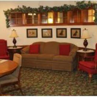 A cozy living room with a sofa, armchairs, and decorative elements.