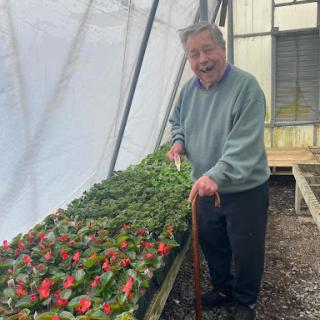 An elderly man joyfully tending to plants in a greenhouse.