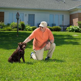 A man kneels on a green lawn, affectionately petting a brown dog in front of a house.