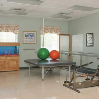 A physical therapy room equipped with exercise balls and rehabilitation equipment.