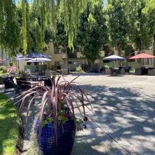 A sunny outdoor patio with tables, umbrellas, and lush greenery.