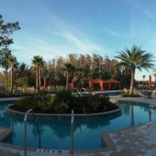 A serene outdoor pool area surrounded by palm trees and clear blue skies.