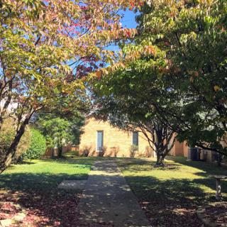 A picturesque view of a pathway leading to a house, framed by colorful autumn trees.