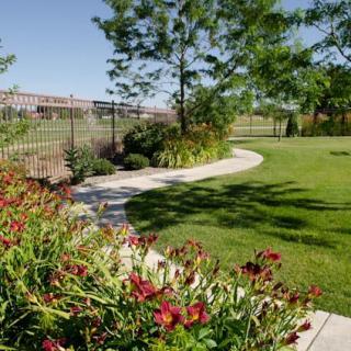 A scenic garden with a winding pathway, surrounded by vibrant flowers and lush greenery.