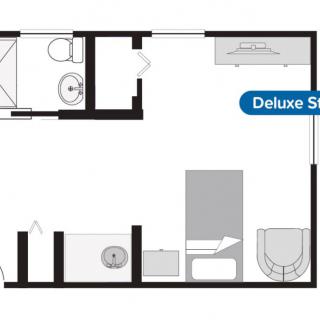 A floor plan of a deluxe suite featuring a bedroom and bathroom layout.