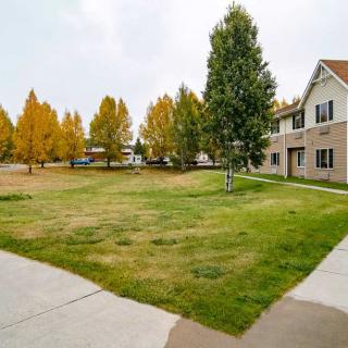 A residential area with an apartment building surrounded by autumn trees and a well-maintained lawn.