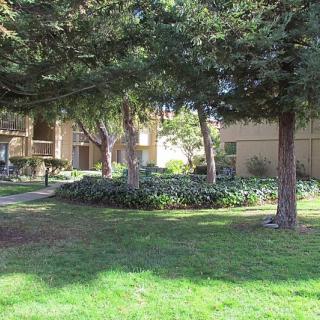 A grassy area with trees and surrounding buildings.
