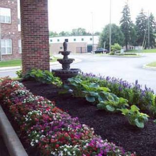 A beautifully landscaped garden featuring vibrant flowers and a charming fountain.