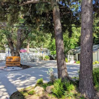 A serene garden scene with trees casting shadows on a pathway.